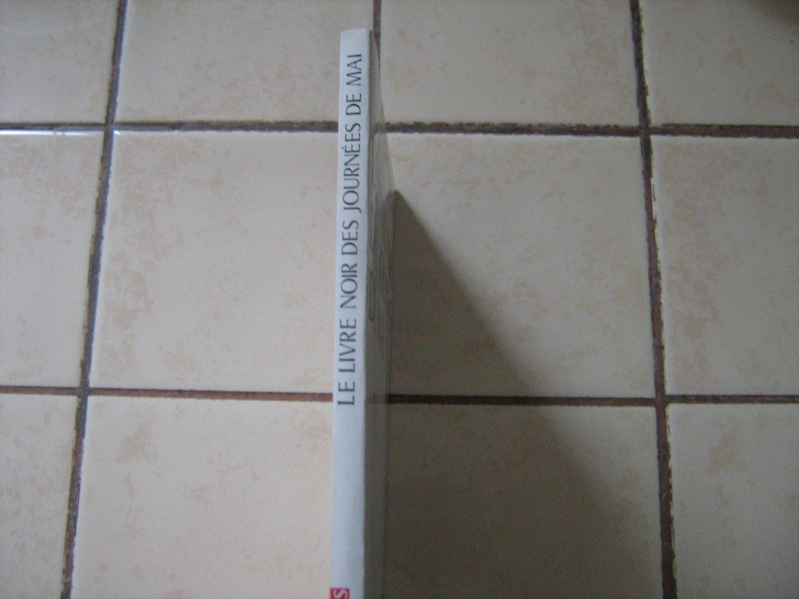 Het zwarte boek van de meidagen – photo 2